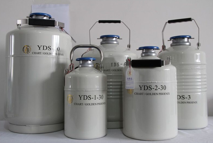 金鳳液氮罐 金鳳液氮罐